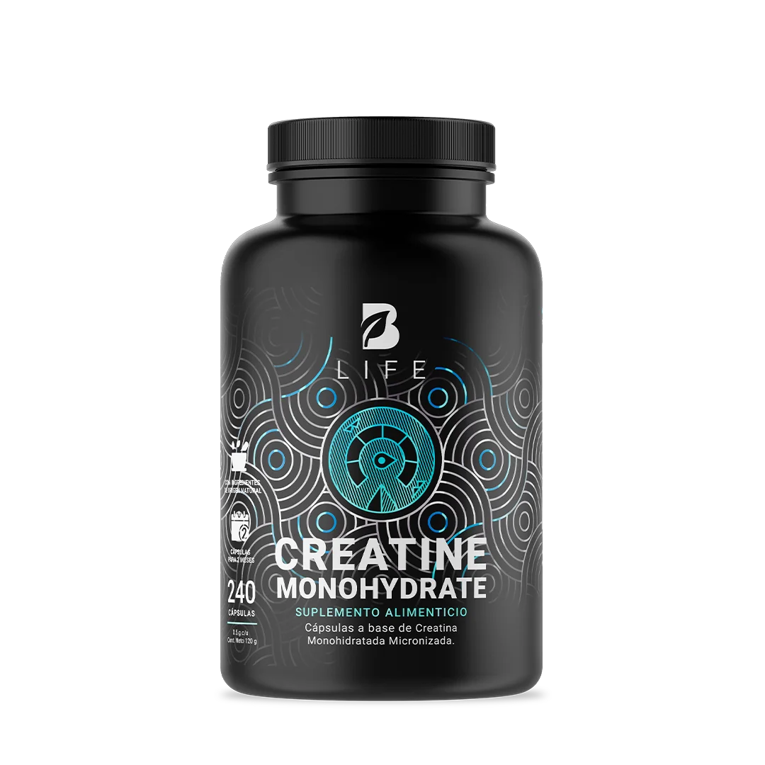 Creatine Monohydrate Powder 120 porciones
